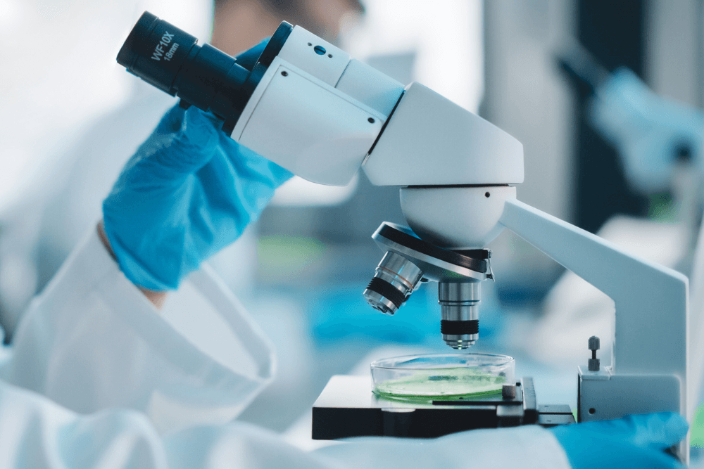 Research areas for Synbiotic 2000